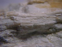 davreuxite-photo & coll JDV